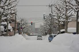札幌大雪.jpg